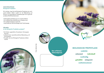 1000 Flyer individuell mit Logo / Adresse - 449,00 Euro Bio Prophylaxe