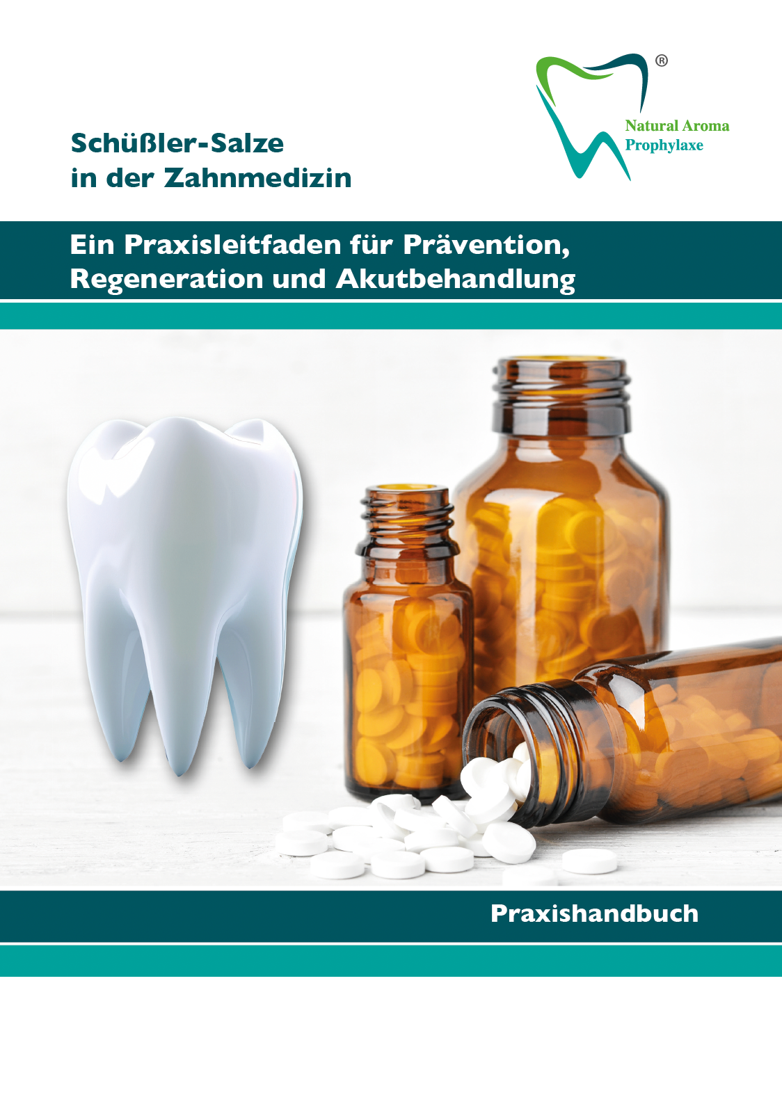 Praxishandbuch - Schüßler Salze in der Zahnmedizin